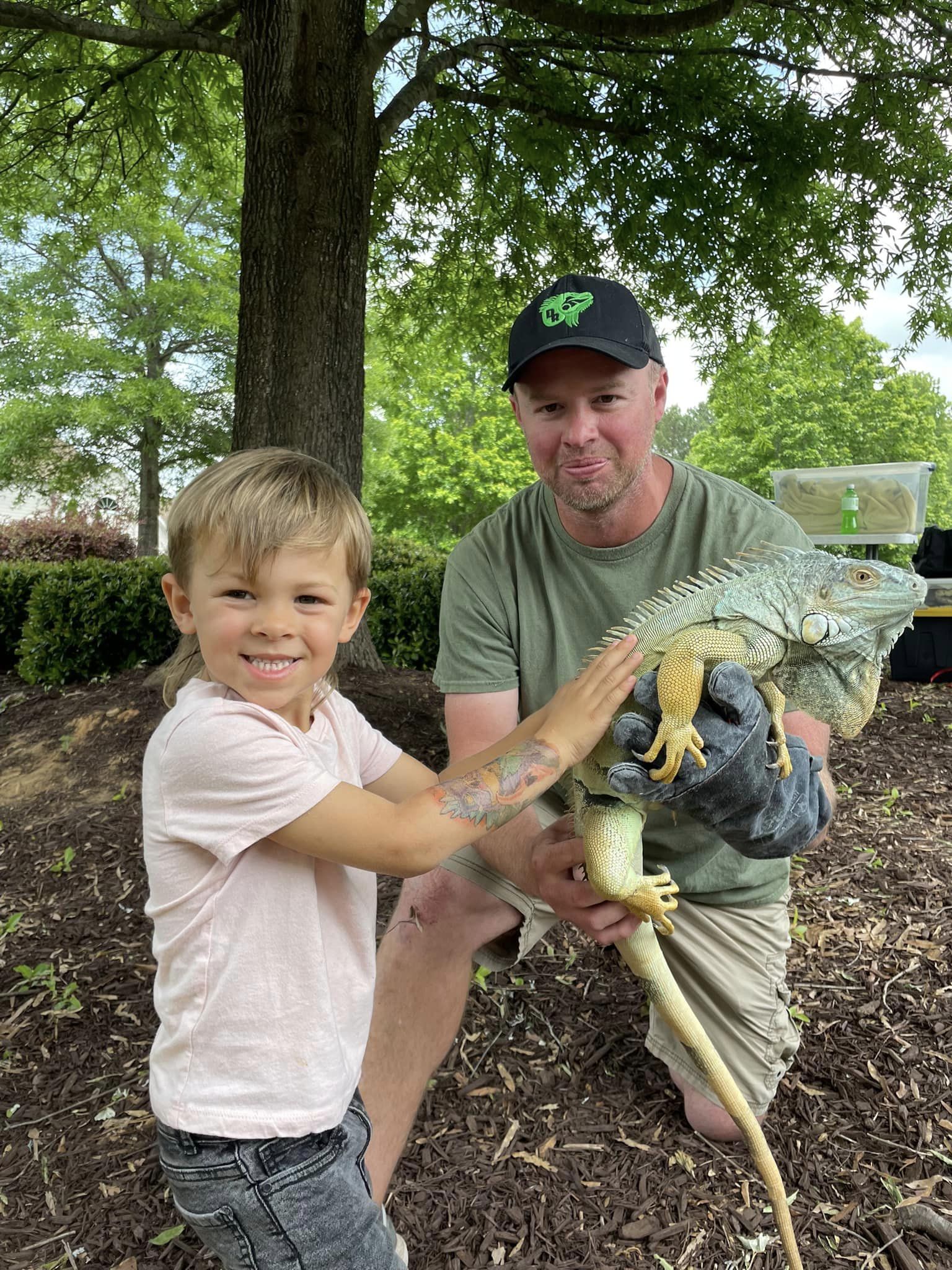 Pricing Devine Reptiles