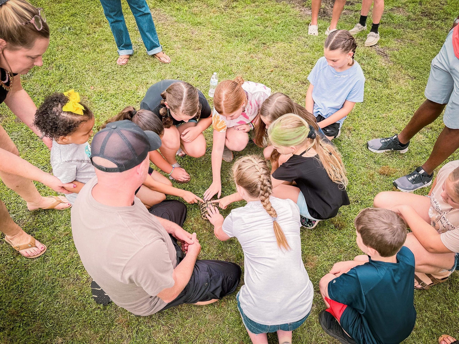 Reptile Party Kid S Party School Entertainment Devine Reptiles